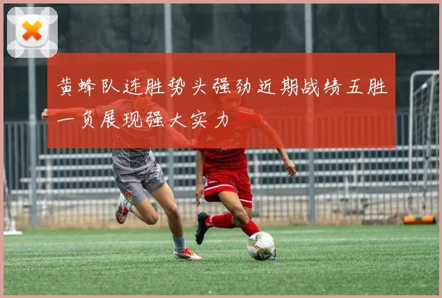 黄蜂队连胜势头强劲近期战绩五胜一负展现强大实力