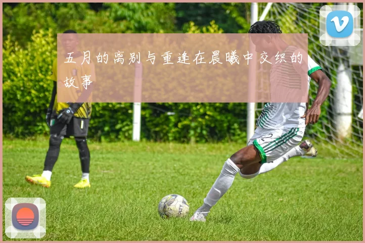 五月的离别与重逢在晨曦中交织的故事